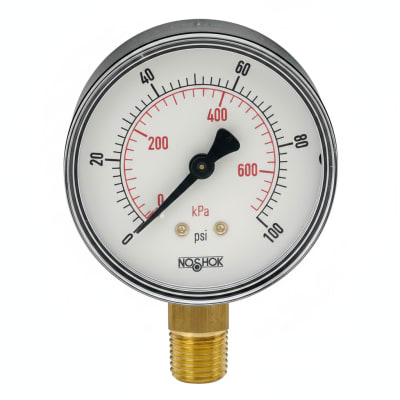 NOSHOK 25-100-30-PSI/KPA-BSC-BCR-BP3