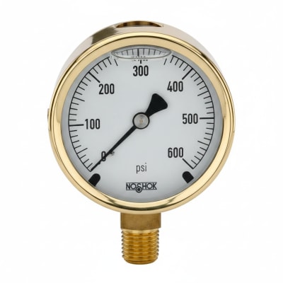 NOSHOK 25-300-6000-PSI-RF