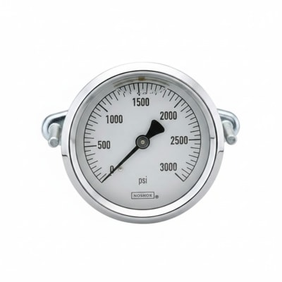 NOSHOK 25-100-200-PSI/KG/CM2-BSC-BCR-BP3