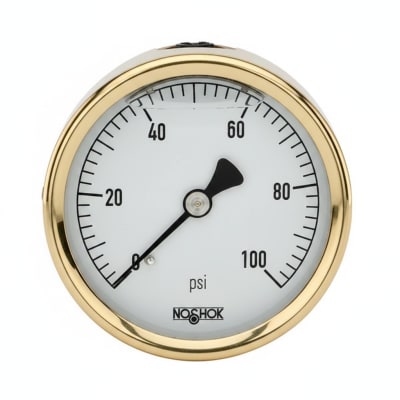 NOSHOK 25-310-2000-PSI/KPA-GY40-BT8