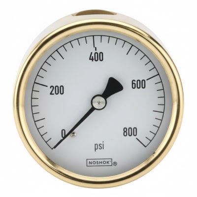 NOSHOK 25-310-2000-PSI/BAR-GLO