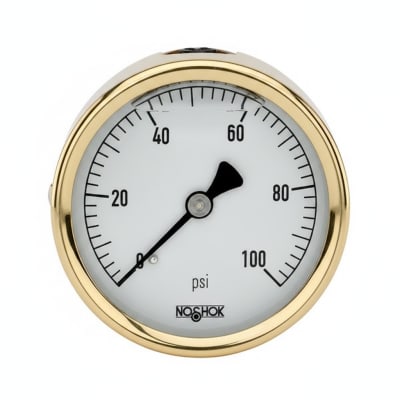 NOSHOK 25-310-2000-PSI/KPA-CBU-GY40