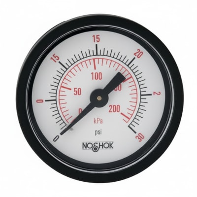 NOSHOK 25-410-30/160-PSI/BAR-SSFF