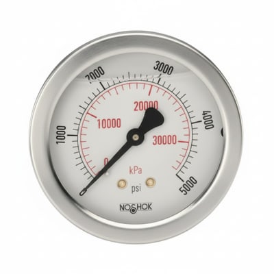 NOSHOK 25-310-2000-PSI/KG/CM2-MIP-BFF