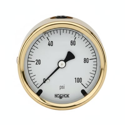 NOSHOK 25-310-2000-PSI/BAR-CBU-GY40