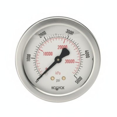 NOSHOK 25-310-2000-PSI/KPA-MIP-BFF