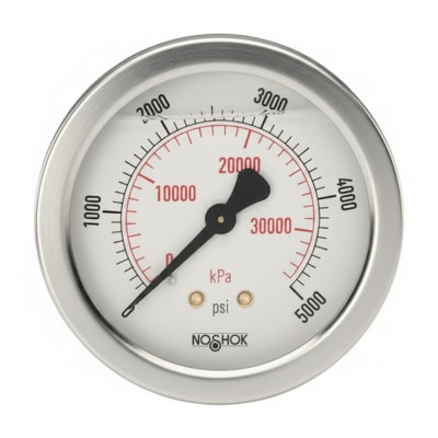 NOSHOK 25-310-2000-PSI/KG/CM2-BFF