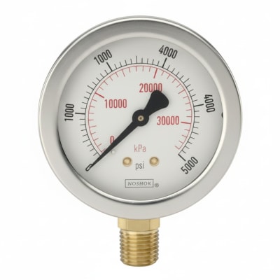 NOSHOK 25-300-60-PSI/KPA-CFF-MIP