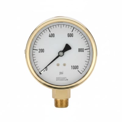 NOSHOK 25-310-60-PSI/KG/CM2-BT8