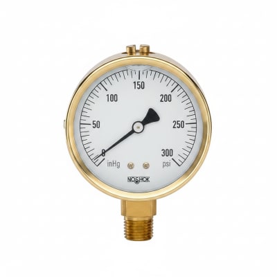 NOSHOK 25-310-60-PSI/KPA-CBU-CC