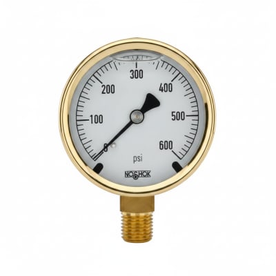 NOSHOK 25-300-60-PSI/KG/CM2-CFF