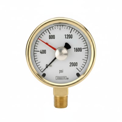 NOSHOK 25-300-60-PSI/KPA-BFF-MIP-BT8-CC