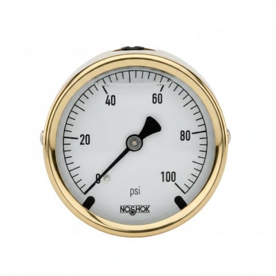 NOSHOK 25-310-60-PSI/KPA-MIP-CFF