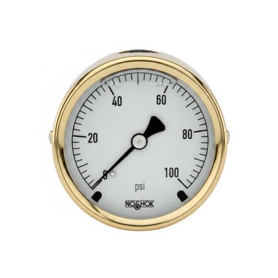 NOSHOK 25-310-60-PSI/KG/CM2-MIP-CFF-CC