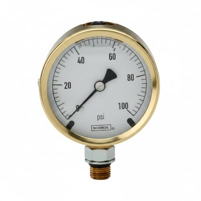 NOSHOK 25-300-60-PSI-CFF-MIP-BT8-CC