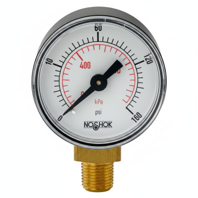 NOSHOK 15-100-100-PSI/BAR-BP3