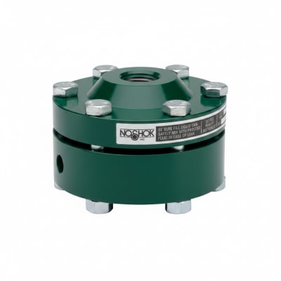 NOSHOK 30-02C-S-R-06C