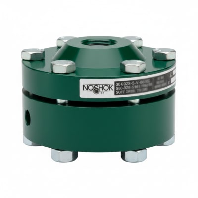 NOSHOK 30-02S-S-V-06C