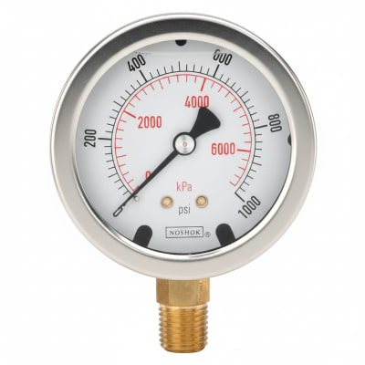 NOSHOK 40-400-3000-PSI-SG