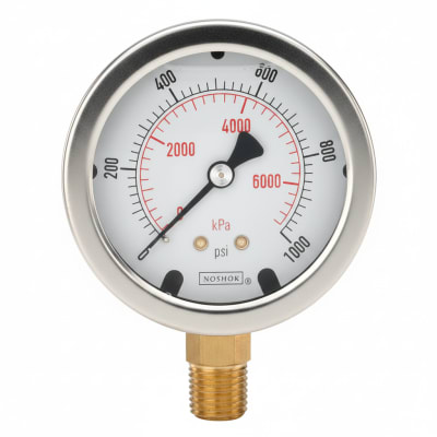 NOSHOK 40-400-3000-PSI/KG/CM2-MIP-SSFF-CC