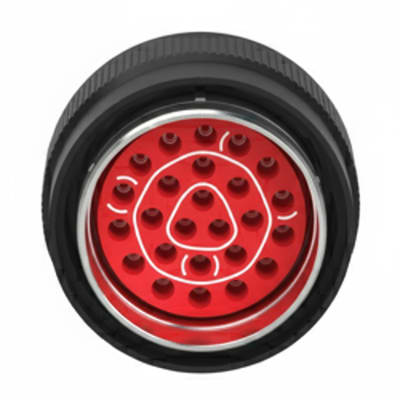 CINCH MS24266R12B12P6