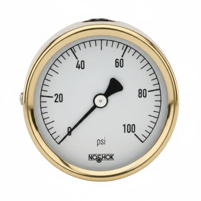 NOSHOK 40-901-600-PSI/KPA-SSRF-MIP