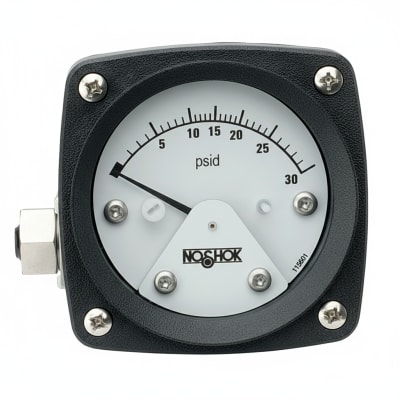 NOSHOK 25-300-30/15-PSI-BFF-MIP