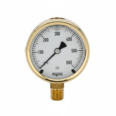 NOSHOK 25-300-30/15-PSI/KPA-CFF-BT8