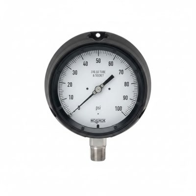 NOSHOK 40-400-100-PSI/BAR-1/4-MIP-SSRF