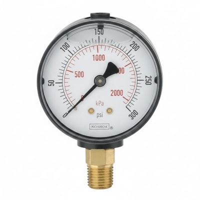 NOSHOK 40-310-30/160-PSI-CFF