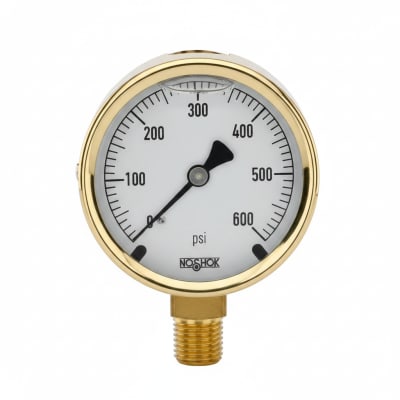 NOSHOK 25-300-30/15-PSI/KPA-BFF-BT8