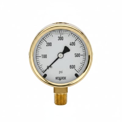 NOSHOK 25-300-30/15-PSI/KPA-BFF