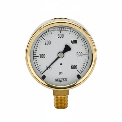 NOSHOK 25-300-30/15-PSI/KPA-CFF-CC
