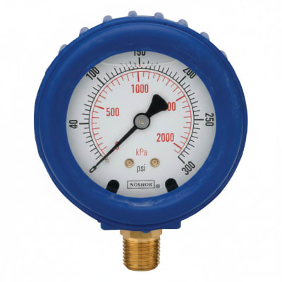 NOSHOK 40-400-30/60-PSI/KPA-AP-SG-SSRF-CC