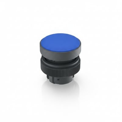 RAFI 1.74.505.501/1000