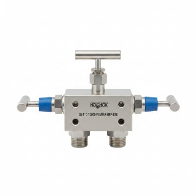 NOSHOK 25-310-10000-PSI/BAR-BFF-BT8