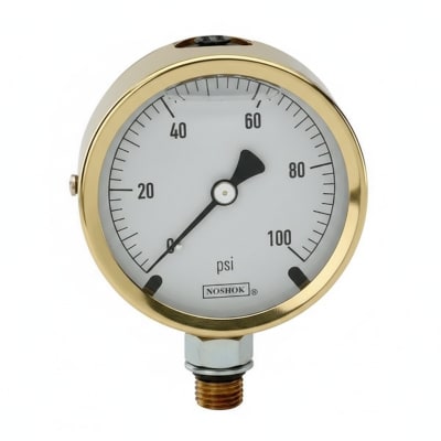 NOSHOK 25-310-10000-PSI-MIP