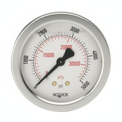 NOSHOK 25-310-10000-PSI-BFF-MIP