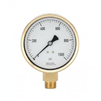 NOSHOK 25-310-10000-PSI-SL