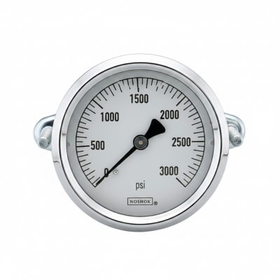 NOSHOK 25-310-10000-PSI/BAR-MIP-CBU