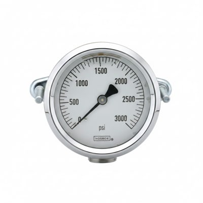 NOSHOK 25-310-10000-PSI/KPA-MIP