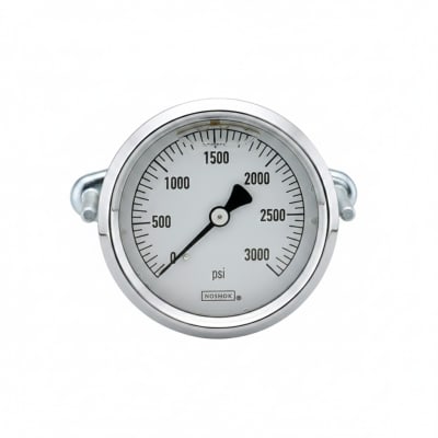 NOSHOK 25-310-10000-PSI/KPA-MIP-CBU-BT8