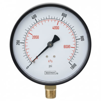 NOSHOK 25-410-600-PSI/BAR-SG-CC