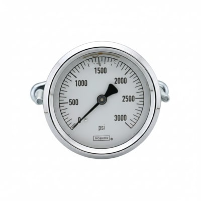 NOSHOK 25-310-10000-PSI/KG/CM2-CBU-GY40-BT8
