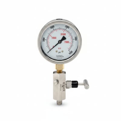 NOSHOK 25-310-10000-PSI/KPA-MIP-BT8