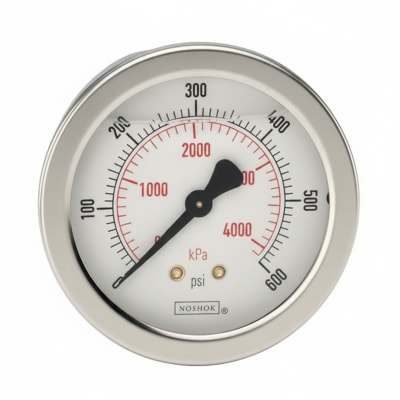 NOSHOK 25-410-600-PSI/BAR-SPMC-CC