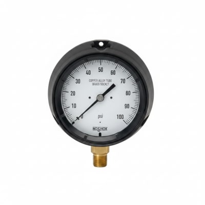 NOSHOK 45-660-200-PSI-GL-BT8-CC