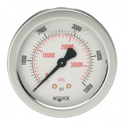 NOSHOK 25-911-400-PSI/KPA-SG