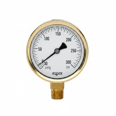 NOSHOK 25-300-200-PSI-BFF-BT8