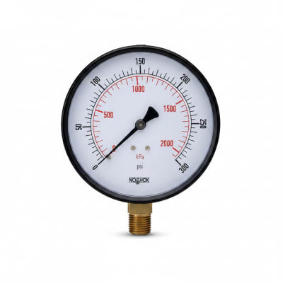 NOSHOK 25-300-30/300-PSI/KPA-CFF-MIP-BT8